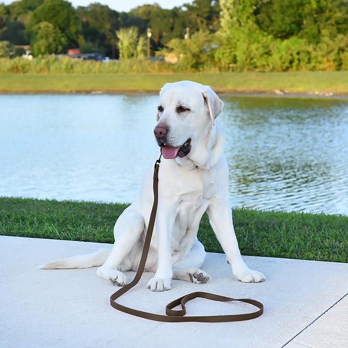 Dogline Biothane Waterproof Dog Leash Strong Coated Nylon Webbing with Black Hardware Odor-Proof Easy to Clean High Performance for Small or Large Dogs Made in USA 2 ft Lead, Dark Chocolate Brown