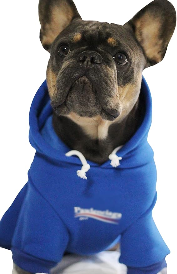 ChoChoCho Stylish Streetwear Blue Dog Sweatshirt Tracksuits, Cats Hoodies, Dog Outfit for Cat Puppy Small Medium (5XL)