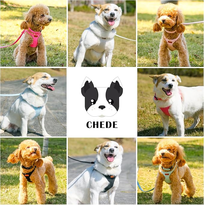 No Pull Dog Harness- Lightweight, Soft, Adjustable Small Harness Collar and Leash Set, Suitable for Cats Puppy Small and Medium-Sized Dog Outdoor Training and Running (Beige, M)