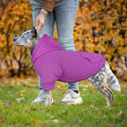 Dog Sweaters for Large Dogs Dog Hoodie Sweater Solid Soft Brushed Fleece Clothes Hoodie Sweatshirt with Pocket(Purple-XL)