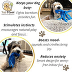 Orange Octopus Dog Toy – Squeaky & Crinkle Plush – Durable No Stuffing Chew Toy for Small Medium Large Dogs Puppies & Seniors – Interactive Safe Soft Toy for Tug Fetch Play – Tail Town