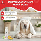 Warren London Foaming Pet Facial – Tear Free Dog Face Wash & Tear Stain Remover | Gentle Puppy & Dog Face Shampoo | Cucumber Melon Scent | Made in USA | 1 Gallon Refill