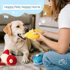 Nocciola Tough Dog Toys, Squeaky Dog Toys to Keep Dogs Busy with Two Resistant Layer & Crinkle Sound, Googly Eyed Fish Gang Puppy Teething Toys for Small, Medium, Large Breeds, 3 Pack