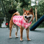 ASENKU Dog Sweater, Plaid Dogs Fleece Vest, Soft Comfortable Pet Pajamas, Warm Winter Puppy Shirt, Cold Weather Coat Jacket Pet Clothes for Small & Medium Dog Breeds, Pink, L