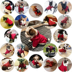 Jecikelon Winter Dog Hoodie Sweatshirts with Pockets Warm Dog Clothes for Small Dogs Chihuahua Coat Clothing Puppy Cat Custume (Wine red, X-Small)
