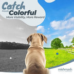 MISHMASH Vision Dog Ball Made with Premium Bite-Proof ETPU, Aggressive Chewers Waterproof Bouncy Interactive Dog Toy, Durable Tennis Ball for Medium to Large Breeds/Dogs/Puppies, (2 Pack)
