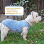 KYEESE 2 Pack Dog Shirts Quick Dry Soft Stretchy Pet T-Shirts with Reflective Label Tank Top Sleeveless Vest Sun Protection Dog Clothes for Small Dogs, Small, Light Blue+Grey