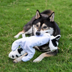 Best Pet Supplies Squeaky Dog Toys with Soft Durable Fabric for Small, Medium and Large Pets Interactive Toy for Indoor Play, Supports Active Biting and Play - Cow, Monkey, Small