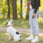 Dogline Biothane Waterproof Dog Leash 2/4/6 Ft Strong Coated Nylon Webbing with Black Hardware Odor-Proof Easy to Clean High Performance for Small or Large Dogs Made in USA, Cherry Red