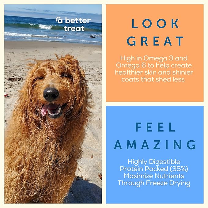 A Better Dog Food | Salmon Dry Dog Food | Raw You Can See | High Protein Kibble + Freeze Dried Raw Dog Food