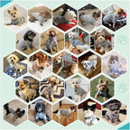 Jecikelon Dog Clothes Dogs Sweater Soft Puppies Clothing Winter Puppy Sweaters Warm Outfit for Dogs Small XXS XS Cat Apparel (Grey, M)