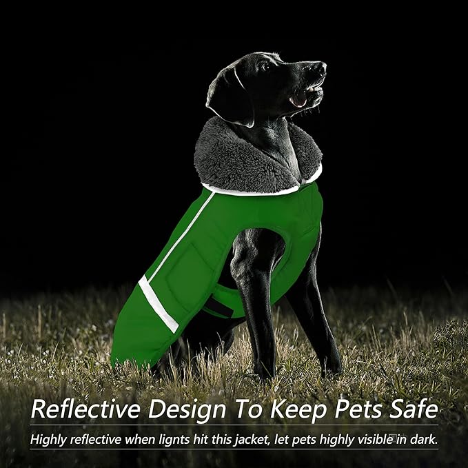 Dogcheer Warm Dog Coat, Waterproof Dog Jacket Christmas Puppy Winter Coat with Buckle, Reflective Adjustable Pet Snow Jacket Turtleneck Fleece Sweater for Small Medium Large Dogs - Green, M