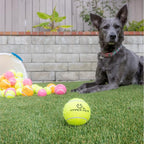 Hyper Pet Tennis Balls for Dogs (Safe Dog Ball, Tennis Balls for Exercise & Training) Interactive Toys work with Hyper Pet K9 Kannon K2 Dog Ball Launcher - 4 Pack 2.5" Green