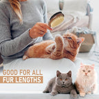 Takavu Double-Sided Boar Bristle Cat Brush - Natural Grooming Tool for Gentle Cleaning, Shine & Reduced Loose Hair - Wood Handle Pet Brush