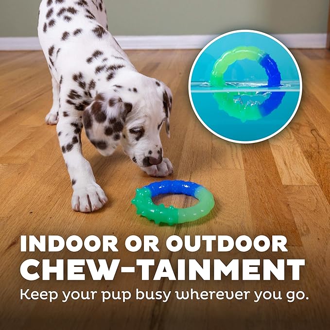 Outward Hound Grow-with-Me-Ring Dog Chew Toy, Multicolored