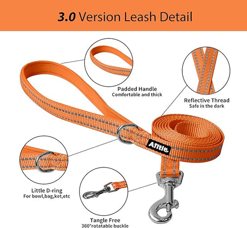 AIITLE No Pull Dog Harness and Leash Set, Step in Adjustable Dog Harness with Padded Vest for All Weather, Dog Leash with Soft Padded Handle, Easy to Put on Small and Medium Dogs Orange S