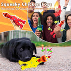 Rubber Chicken Dog Squeaky Toys, Durable Latex Chew Toys for Small Medium Large Size Dogs, Teething Puppy Dogs (2 Pack)