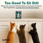 Dave's Pet Food Grain Free Canned Cat Food (Turkey & Giblets Pate), Made in USA Naturally Healthy Canned, Canned Pate, 12.5 oz Cans (12 Pack)