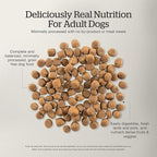 Now Fresh Grain-Free Premium Dry Dog Food with Lamb & Pork, Healthy Kibble for Adults Made with Real Red Meat, Chicken-Free Recipe, Enhanced with Pumpkin & Probiotics for Good Digestion, 3.5 lb Bag