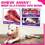 Zeaxuie 12 Pack Heavy Duty Various Dog Chew Toys Pack for Aggressive Chewers - Includes Large Rope Toys, Squeaky Toys & Indestructible Chew Bone for Medium, Large & X-Large Female Dogs