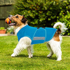 MIGOHI Dog Anxiety Relief Coat,Comfort Anxiety Vest for Dogs,Adjustable Dog Anxiety Calming Wrap for Fireworks,Thunderstorm,Travel,Separation,Anxiety Jacket for Small Dogs,S,Blue