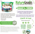 Nature Gnaws Beef Gullet Chews for Large Dogs 9-10" (20 Count) - Natural Beef Jerky Stick Dog Chew Treats - Rawhide Free