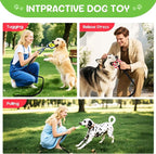 Dog Outdoor Bungee Solo Hanging Toy, Tether Tug of War Toys for Pitbull Small Large Aggressive Chewers Dogs to Exercise, Durable Interactive Tug Toy, Dog Rope Toys (3 Chew Ropes,1 poop bag)
