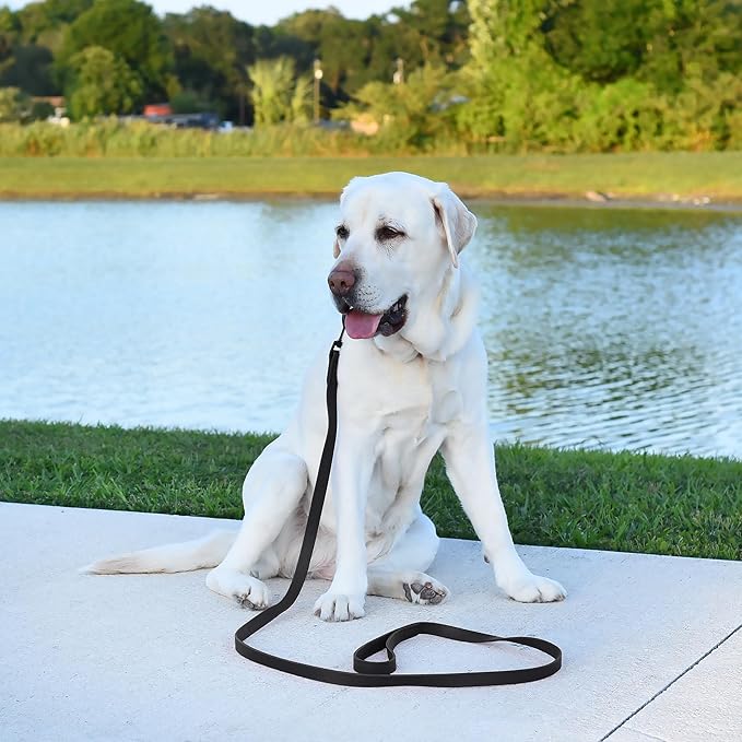 Dogline Biothane Waterproof 6ft Dog Leash Strong Coated Nylon Webbing with Black Hardware Odor-Proof Easy to Clean High Performance for Small or Large Dogs Made in USA 6ft Lead, Black