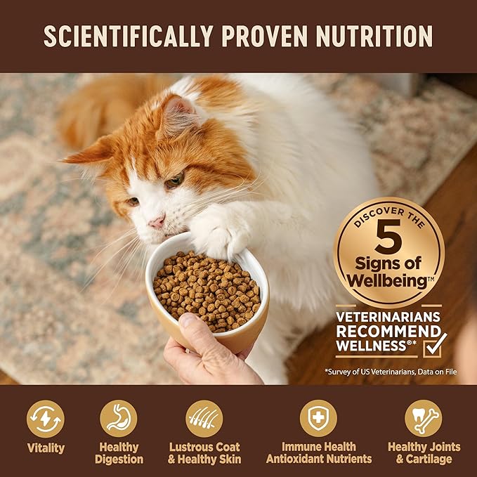 Wellness CORE Adult Dry Cat Food for Indoor & Outdoor Cats, Grain-Free, Natural, Original Turkey, Turkey Meal & Chicken (11 Pound Bag)