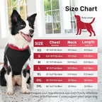Warm Fleece Dog Coats for Small Dogs,D-Rings Waterproof Puppy Jacket for Cold Winter,Red M