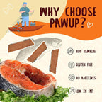 PAWUP Salmon Fillet Dog Treats, Salmon Jerky with Fish Skin, Healthy High Protein Snacks, Natural Omega 3-6, Low in Fat with Taurine,12.5oz (Smoked Flavor)