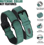 Didog Soft Padded Leather Dog Collar and Leash Set, Adjustable Dog Lead and Collar Set with Metal Buckle, Breathable Pet Collars with 4FT PU Leather Leash for Small Medium Dogs, Green, M