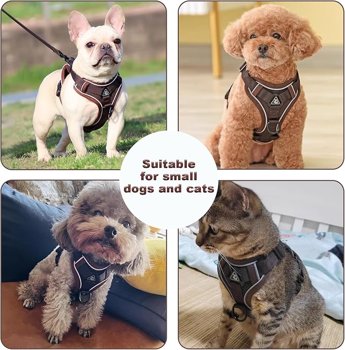 SOLMOONY Small Dog Harness,Soft Mesh Puppy Harness and Leash Set,No Escape Cat Harnesses for Training Walking,Reflective Adjustable Puppy Vest for Small Medium Dogs, Cats (Brown, S)