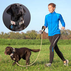 Reflective Dog Collar Padded with Soft Neoprene Breathable Adjustable Nylon Dog Collars for Small Medium Large Dogs (Medium (Pack of 1), Vanila/Pink Floral Collar+Leash)