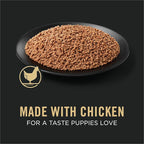 Purina Pro Plan Grain Free Wet Puppy Food, Classic Chicken Entrée - (Pack of 12) 13 oz. Cans