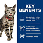 Hill's Science Diet Adult 1-6 Perfect Weight Wet Cat Food, Variety Pack: Liver & Chicken Minced; Chicken Stew, 2.9 oz. Cans, 12-Pack