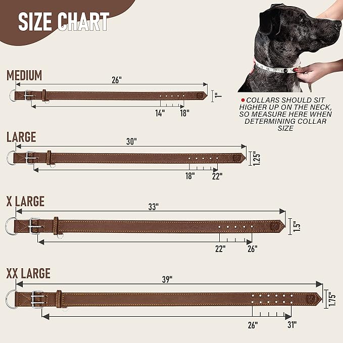 Riparo Dog Collar - Genuine Leather Dog Collars - Heavy Duty Dog Collar for Medium Large and Extra Large Dog Breeds (XL: 1.5” Wide for 22” - 26” Neck, Brown)