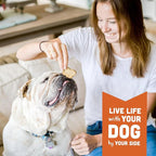 Cloud Star Wag More Bark Less Crunchy Grain Free Dog Treats, Peanut Butter & Apples, 14 oz. Box
