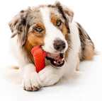 Playology Dog Toys | Dual Layer Bone Durable Chew Toy Bone for Dogs | Jumbo Beef Scented Toy - Easy to Clean and Made from Non Toxic Materials