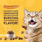 NaturVet Scoopables Quiet Moments Cat Calming Aid - Promotes Calm with Stressful Events Storms, Fireworks, Travel, Separation Anxiety - Cat Health Supplement w/Melatonin - Salmon Flavored | 5.5oz Bag