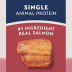 Natural Balance Limited Ingredient Adult Dry Dog Food with Healthy Grains, Salmon & Brown Rice Recipe, 4 Pound (Pack of 1)