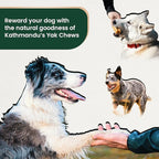 Authentic Himalayan Natural Dog Cheese Chew (Pack of 4 Large & XLarge Chews), Premium Organic Yak Chew, Keeps Your Dog Busy, Ideal for Indoors and Outdoors Use