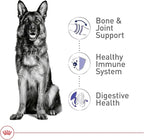 Royal Canin Size Health Nutrition Large Adult Dry Dog Food, 4 lb Bag