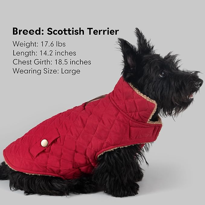 azuza Dog Jacket Waterproof & Windproof Dog Coat for Small Dogs with Thick Fleece, High Collar with Leash Hole, Adjustable Velcro & Elastic Belly, Red, S