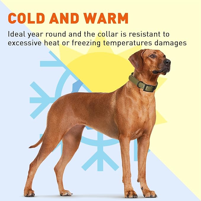 Dogline Biothane Waterproof Dog Collar Strong Coated Nylon Webbing with Black Hardware Odor- Proof for Easy Care Easy to Clean High Performance Fits Small Medium or Large Dogs, Olive Drab Green