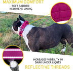ADITYNA Heavy Duty Dog Collar for Medium Dogs - Reflective Magenta Collar with Handle for Training, and Walking - Wide, Thick, Tactical, Soft Neoprene Padded