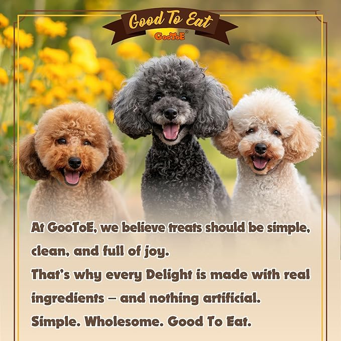 Gootoe Turkey Tendons for Dogs –All-Natural, Hypoallergenic Dog Treats, Rawhide Alternative, Long Lasting Puppy Chews, Healthy Dog Treats for Medium Breeds, Bone (M), 16 oz Pack (1 lb)