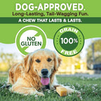 EcoKind Premium Gold Yak Cheese Himalayan Dog Chews, Healthy Dog Treats for Large Dogs, All Natural, High Protein Dog Chew, Water Buffalo, Large - 5 Chews