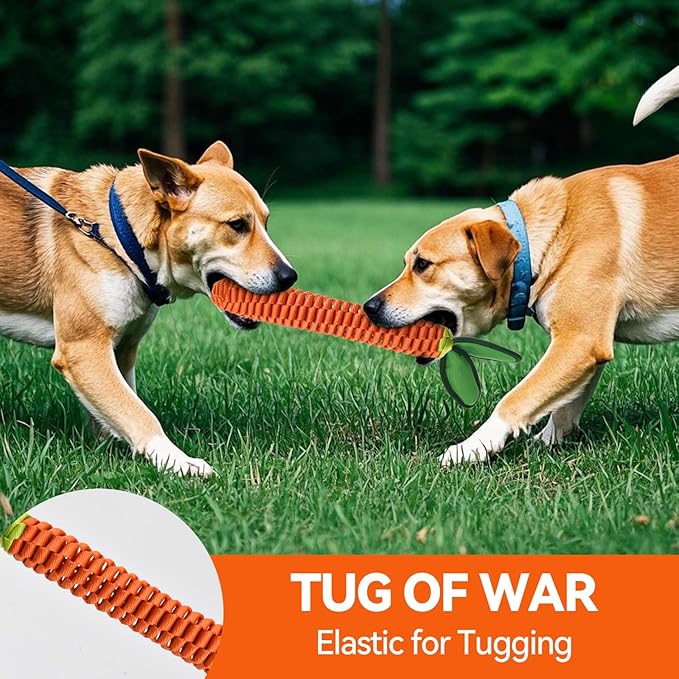 AUSCAT 2PCS Carrot Dog Rope Toy, Durable Tug of War Toy with Squeaker, Braided Teething Toys for Small Medium Large Dogs