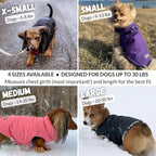 DJANGO Puffer Dog Coat – Warm Winter Dog Jacket & Water-Repellent Insulated Puffer Vest with Striped Lining, Harness Hole, Adjustable Fit for Small & Medium Dogs, Dachshunds – Sea Foam Green, Large